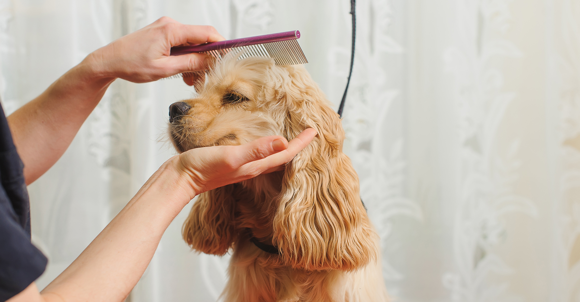 Pet Salon CROUTON（ペットサロンクルトン）
